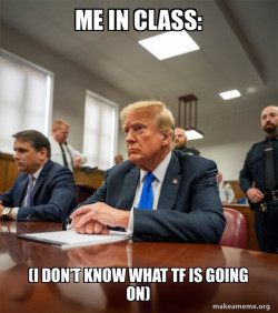 Trump Court Room
