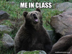 Sarcastic Bear