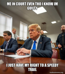 Trump Court Room