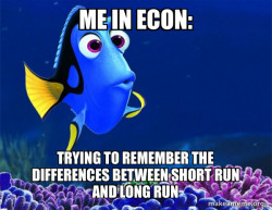 Dory from Nemo  (5 second memory)
