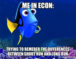 Dory from Nemo  (5 second memory)