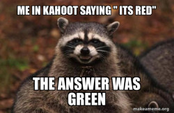 Evil Plotting Raccoon
