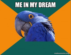 Paranoid Parrot