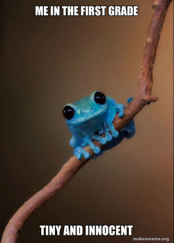 Small Fact Frog