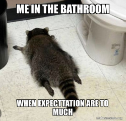 Drunk Raccoon