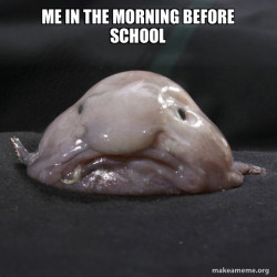 Blobfish