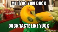 Gourd Advice Mallard