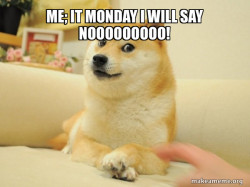 Doge