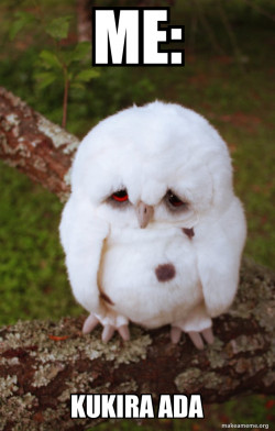 Sad Owl