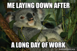 Long work day