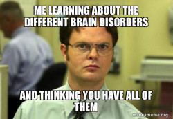 Schrute Facts (Dwight Schrute from The Office)