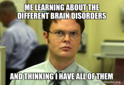 Schrute Facts (Dwight Schrute from The Office)