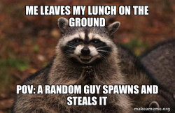Evil Plotting Raccoon