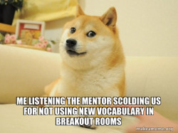 Doge