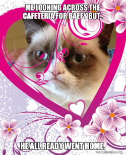 Grumpy cat Valentines Day