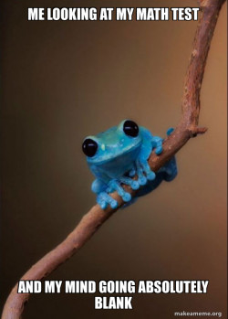 Small Fact Frog