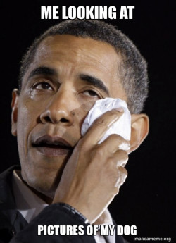 Crying Obama