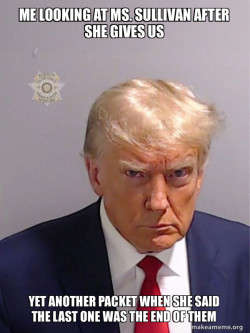 Donald Trump Mugshot