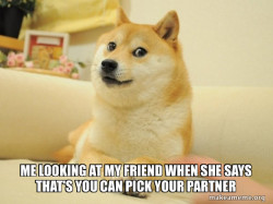 Doge