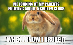 Regretful Rabbit