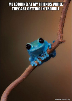 Small Fact Frog
