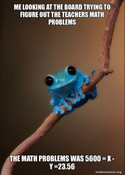 Small Fact Frog