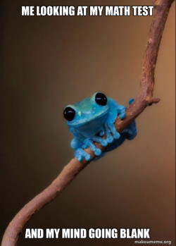 Small Fact Frog