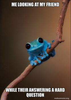 Small Fact Frog