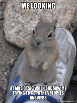 Standover Squirrel