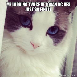 Ridiculously Photogenic Cat