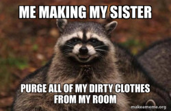 Evil Plotting Raccoon