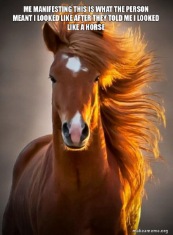 Ridiculously photogenic horse