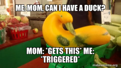 Can I Have A Duck?