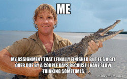 Steve irwin