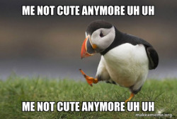 Unpopular Opinion Puffin