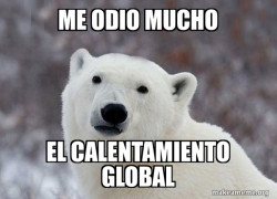 Popular Opinion Polar Bear