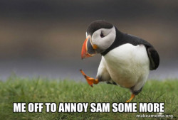 Unpopular Opinion Puffin
