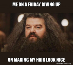 Hagrid - I should not have said that
