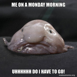 Blobfish