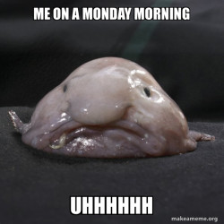 Blobfish
