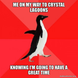 Socially Awesome Penguin