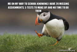 Unpopular Opinion Puffin