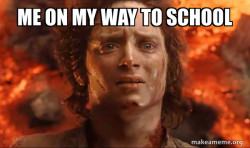 Frodo it's over it's done