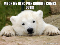Popular Opinion Bear