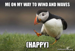 Unpopular Opinion Puffin