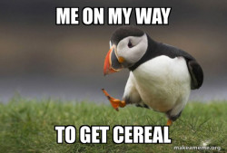 Unpopular Opinion Puffin