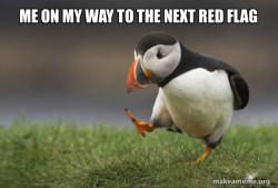 Unpopular Opinion Puffin