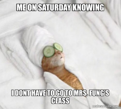 Pampered Cat Meme