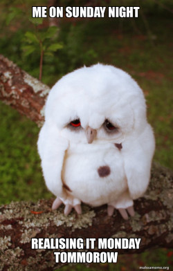 Sad Owl