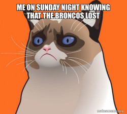 Cartoon Grumpy Cat